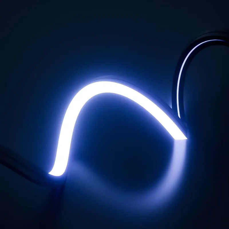 PERFECTE Dream Color LED Neon  - Outdoor Lighting Led Strip recensie en prijs